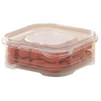 Refrigerator frozen meat compartment box frozen storage box small fresh-keeping box refrigerator storage sub-packaging box
