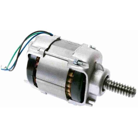 WGA05 Motore Elettrico Assemblato 220V 230V WINGO WG5000 WG4000 Ricambio NICE WGA05