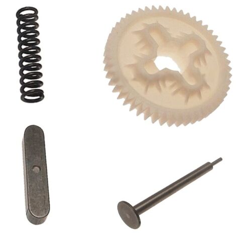 CAME 119RIBX052 Gruppo Corona Riduzione Per Motore Bx-243 Ricambio (1/4)