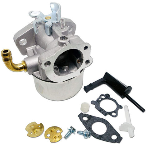DOLASO Vergaser für Briggs & Stratton 591299 791991 693 (1/5)
