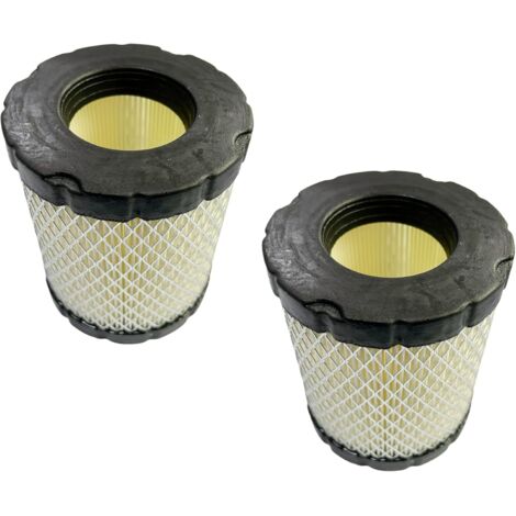 C·T·S 2er-Pack Luftfilter für BS 44P000 49L000 49M000 49Q000 Ersetzt B&S 798897 794935 (1/5)