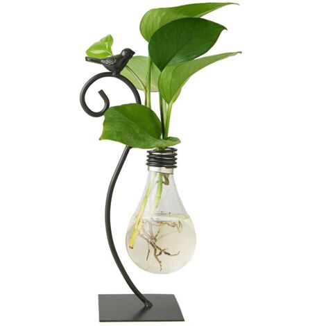 Jardinière en verre de bureau, Vase hydroponique, Support de terrarium pour plantes de chat, Conteneur Scindapsus