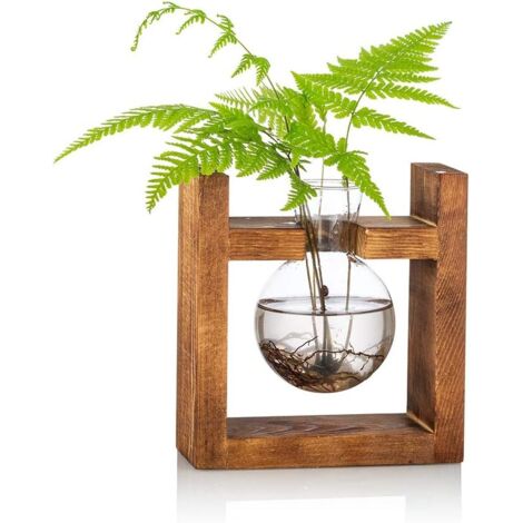 Vase En Verre De Gland Pour Fleurs Terrarium Pot Planteur Avec Support De Support En Bois