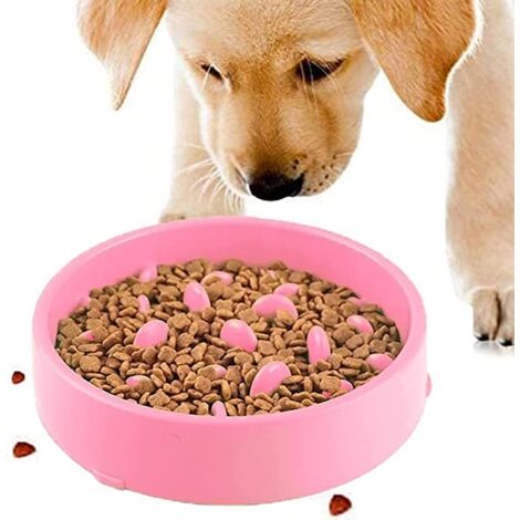 Gamelle pour Chien Chat en Plastique Pet Slow Food Bowl Antidérapant Rose (1/5)