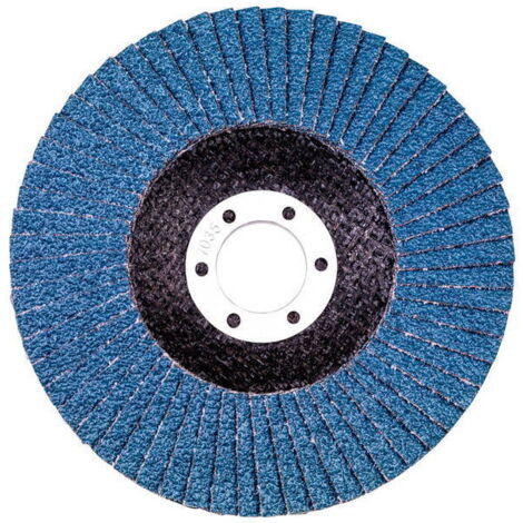 Placa abrasiva lam. 125 P 80 para molinillo Metabo (1/2)