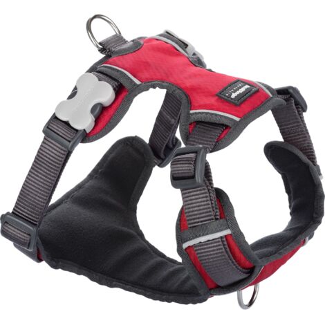 Harnais chien Red Dingo rembourré Rouge Taille : T2