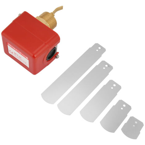 Interrupteur de Débit d'Eau à Palette Inox - 1", 1.0MPa, Contacts SPDT 6-380V (1/5)