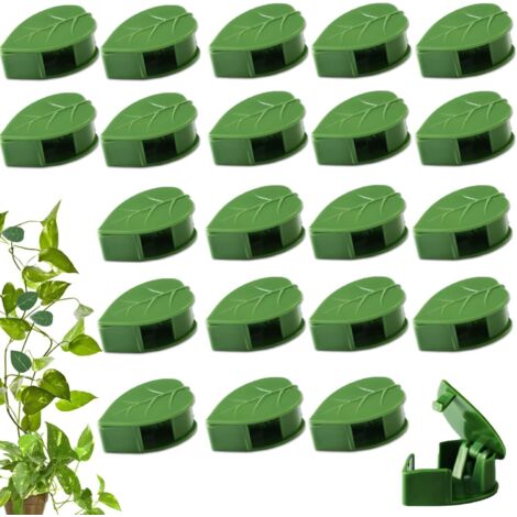 Crochets adhésifs invisibles pour plantes grimpantes, supports muraux autonomes pour lierre et jardinières, fixations discrètes (1/5)