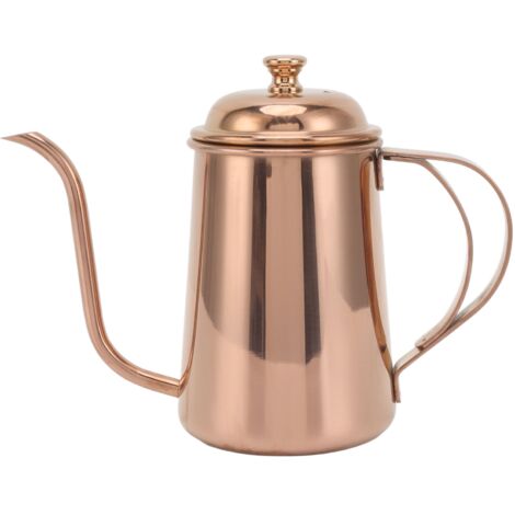 Bouilloire à bec verseur 650ml en acier inoxydable 304 épais pour café filtre (1/5)