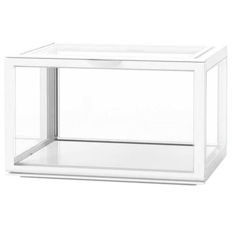 Uotyle Vitrine en acrylique transparent pour comptoir, boîte de rangement pour figurines, jouets, objets de collection (30 x 20 x 20 cm