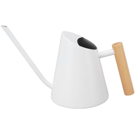 Arrosoir en Acier Inoxydable avec Bec Long et Poignée en Bois pour Jardin, Bonsaï, Intérieur et Extérieur (1/5)