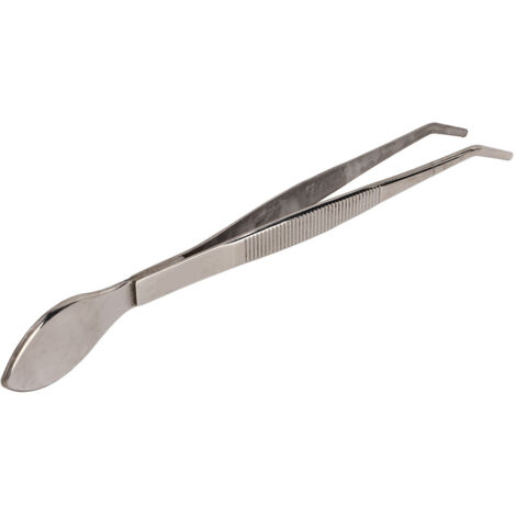 Pince à bonsaï professionnelle en acier inoxydable, bout incurvé et spatule intégrée pour plantes en pot (1/5)