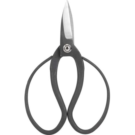 Ciseaux de Jardinage en Acier Composite pour Bonsaï - Outils de Taille pour Débutants (1/5)