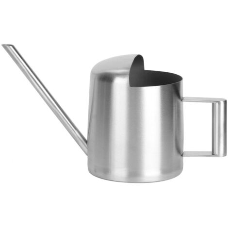 Arrosoir en Acier Inoxydable 300ML à Bec Long pour Plantes d'Intérieur et Bonsaïs (1/5)