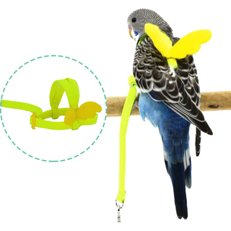 Harnais ailé ajustable pour perroquets et pigeons, idéal pour l'entraînement en vol en extérieur. (1/5)