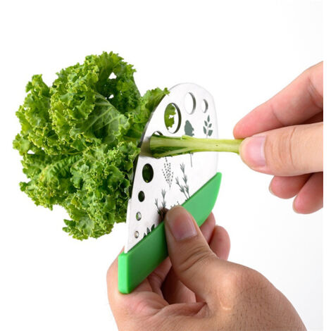 Décapeur à Herbes 9 Trou en Acier Inoxydable avec Capuchon de Protection