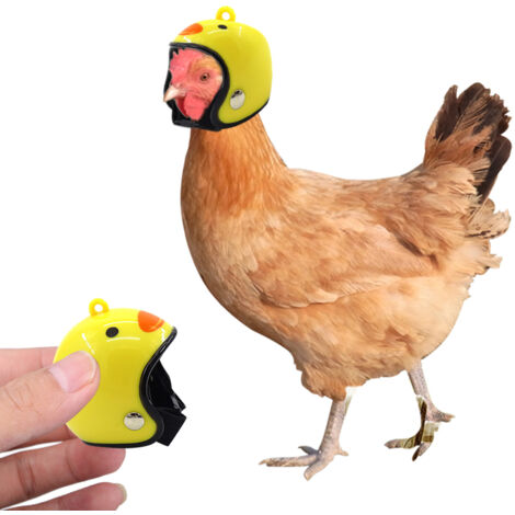 Casque de Sécurité Ajustable pour Petite Volaille, Casque Amusant en Forme de Poulet pour Animaux