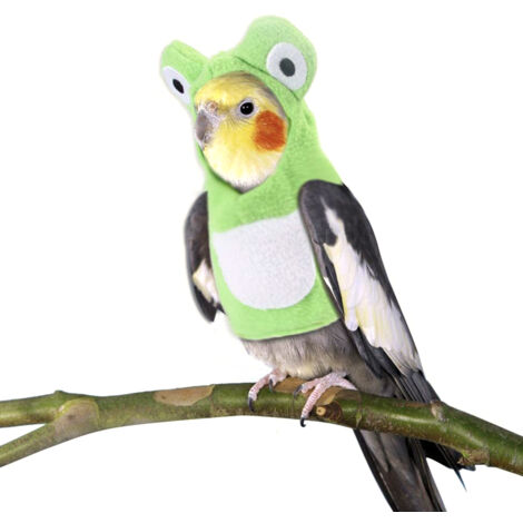 Vêtements pour Oiseaux de Compagnie - Combinaison de Vol Confortable et Résistante pour Petits Animaux (1/5)
