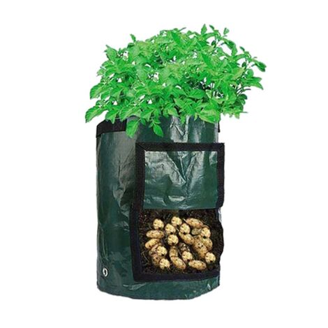 Sac de culture en PE respirant et écologique, Poche de croissance pour plantes, Outil de jardinage, 5 gallons (23x28cm), Vert foncé (1/5)