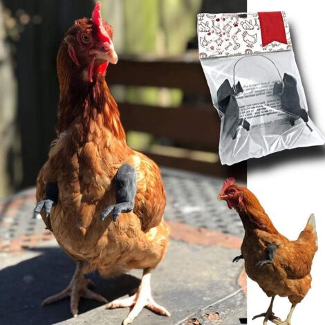 Bras déguisement poulet jouet pour oiseau cadeau humoristique (1/5)