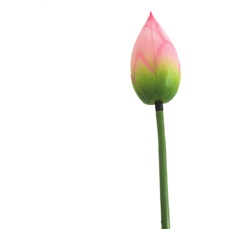 Fleur Artificielle Feuille de Pod Poupon avec Tige pour Décoration Rustique de Salle Bouddha (1/5)