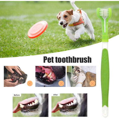 Brosse à dents triple pour chien - Soin dentaire pratique et confortable pour animaux de compagnie (1/5)