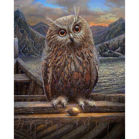 30 X 40 Cm ,hibou Diamond Painting Broderie Diamant Peinture Canevas 5d Tableau Enfant Adulte Strass Lot Puzzle Dessin Decoration Murale Chambre (1/5)