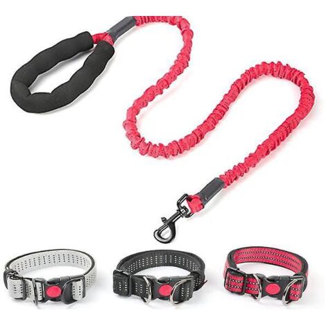 trois Pices, Taille : 2,5 X 115 Cm , Collier Pour Chien Rflchissant Rembourr En Noprne Souple Et Respirant, Rglable En Nylon Pour Petits (1/5)