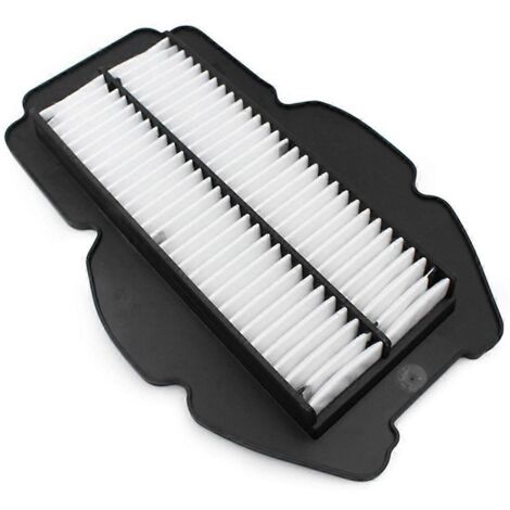 Filtre à air de rechange pour moteur de moto HYOSUNG - Nettoyant inclus (1/5)