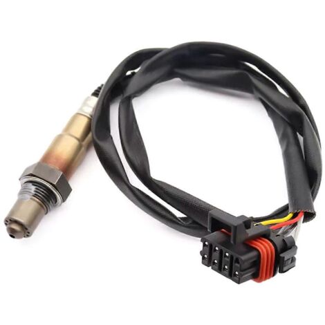 Capteur d'oxygène Bosch O2 pour Holley EFI 554-101, 554101-- (1/5)