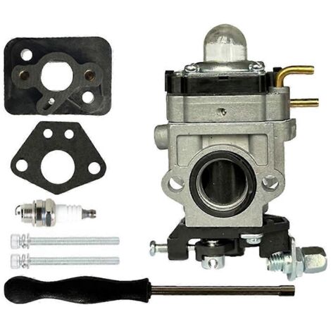 Carburateur pour souffleur dorsal Troy-Bilt TB51BP (1/5)