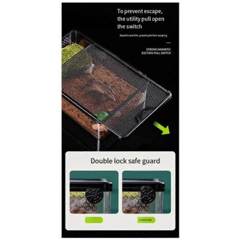Boîte d'alimentation transparente pour reptiles, amphibiens, insectes, reptiles - (1/5)