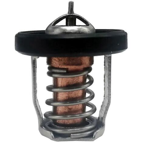 Thermostat 17670-94J01 60℃ pour Suzuki Marine DF8A 9.9 15 20 25 30A - Voir illustration (1/5)
