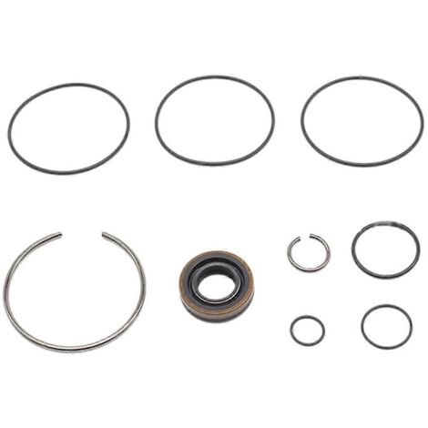 Kit de joints d'étanchéité pour pompe de direction assistée automobile pour-- (1/5)
