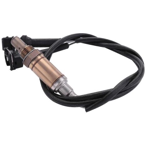 -11 Capteur d'oxygène O2 pour chaudière T1 T1/TN Y10-- (1/5)