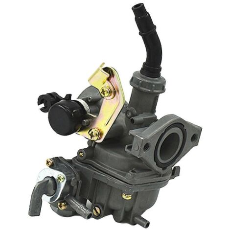 Carburateur Pz19 pour moto tricycle Dy100 110-- (1/5)