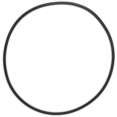 Joint d'étanchéité de filtre compatible avec Hayward DEX2422Z2-- (1/5)