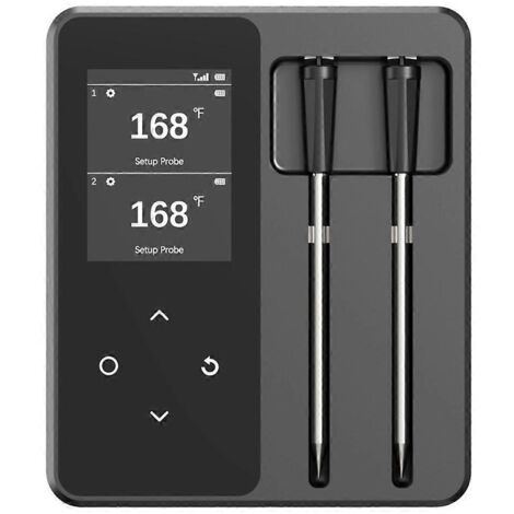 Sondes de thermomètre à viande Bluetooth avec écran LCD intégré --- (1/5)