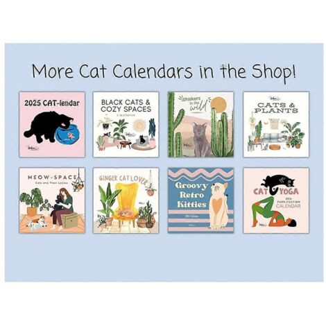 Calendrier mural 2025, Calendrier 2025 pour les amoureux des chats mignons, drôles et joueurs (1/5)