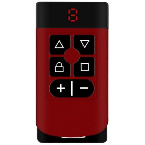 Duplicateur de télécommande de porte de garage à 6 boutons 315 MHz-868 MHz B-- (1/5)