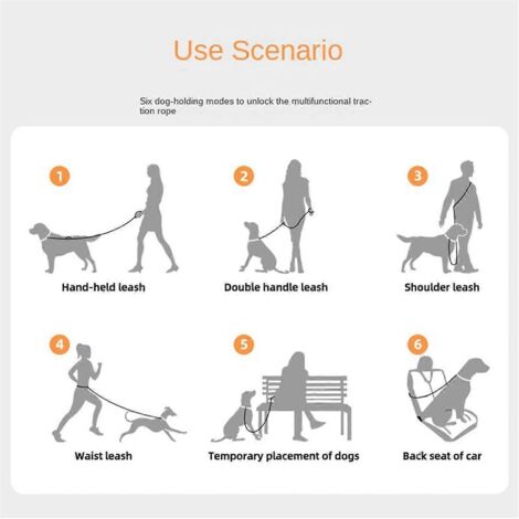 Laisse anti-explosion pour chien, ceinture pour laisse pour animal de compagnie, motif floral rouge (1/5)