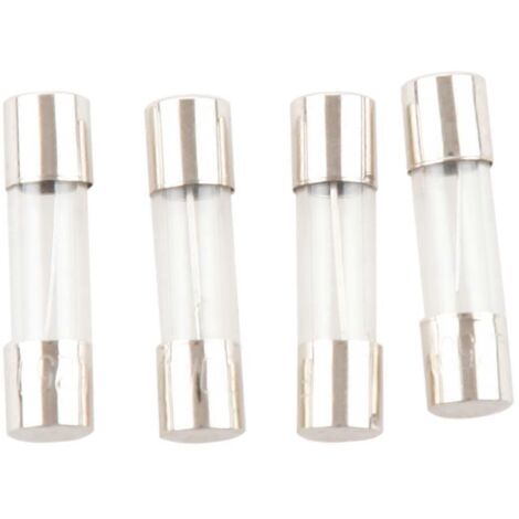 15 fusibles en verre à action rapide 10 A 250 V, 5 x 20 mm (1/4)