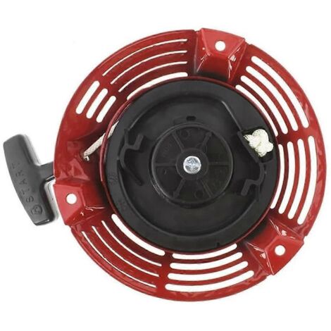 Pièces de moteur pour tondeuse à gazon --- (1/5)