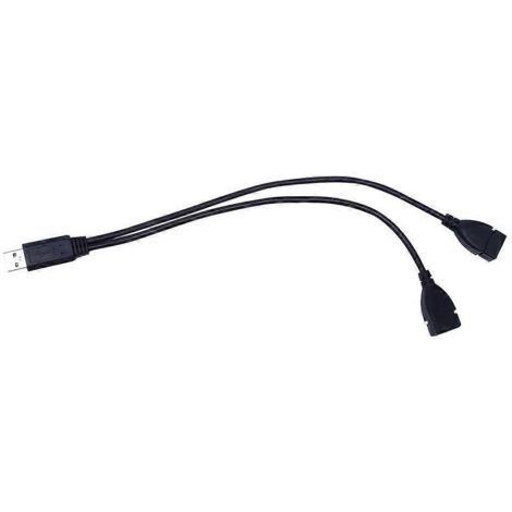 Câble d'extension de charge et de données USB 2.0 A de 32 cm avec 1 connecteur mâle et 2 connecteurs femelles (1/5)