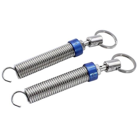 Ressort d'extraction pour hayon de voiture (2 pièces) (1/5)
