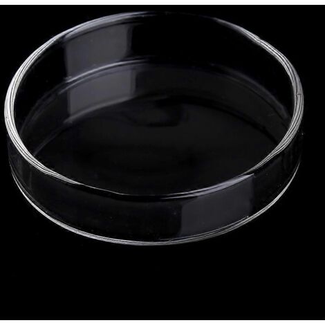 Gamelle ronde transparente en acrylique pour crevettes, idéale pour nourrir les animaux de fond. (1/5)