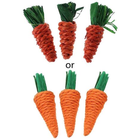 Jouets à mâcher en rotin en forme de carotte, mignons, pour chinchillas, lapins et petits animaux (lot de 3). (1/5)