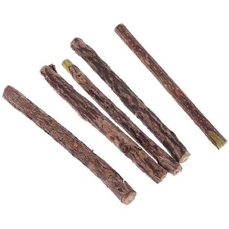 5x Matatabi Catmint jouets pour chaton d'intérieur lécher Matatabi outil molaire de soins dentaires (1/5)