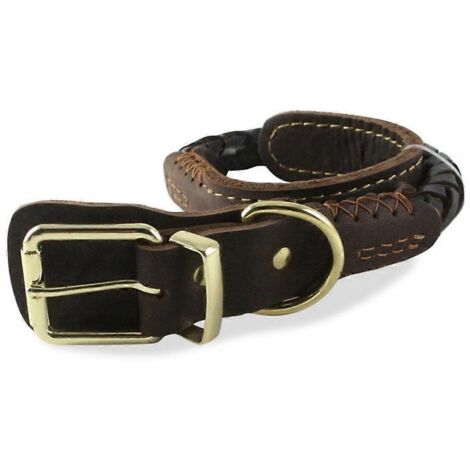 Collier robuste pour animaux de compagnie - Collier en cuir tissé pour chien de taille moyenne à grande - Accessoires pour animaux de compagnie (1/5)