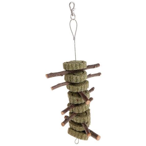 Jouet à mâcher pour lapin, branche d'arbre, herbe, biscuit, suspendre, dents, activité, jouet (1/5)